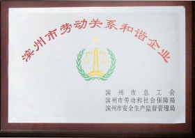 濱州市勞動關(guān)系和諧企業(yè)